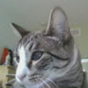 Meet your Posher, Joe